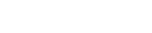 Active X Life
